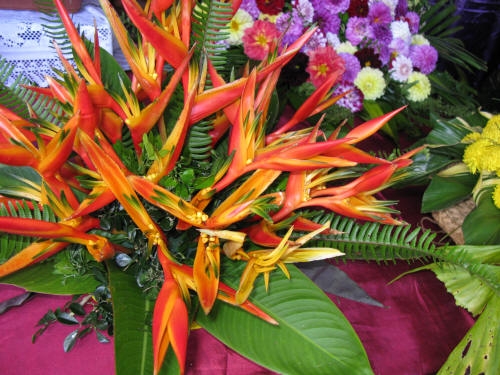 Papua Nowa Gwinea i kwiaty