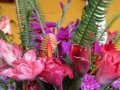Papua Nowa Gwinea i jej kwiaty....