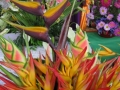 Papua Nowa Gwinea kompozycja kwiatowa