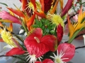Papua Nowa Gwinea - kwiaty