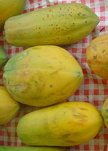 Papaya owoce