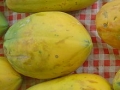 Papaya owoce